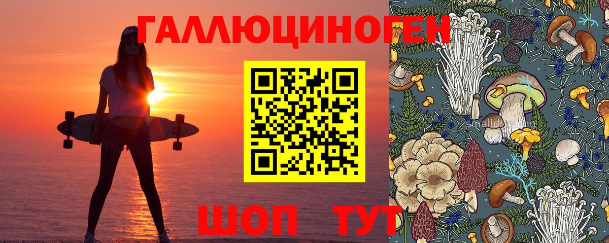 Галлюциногенные грибы мицелий  Галлюциногенные грибы Psilocybine cubensis  Вход с VPN  Морозовск 