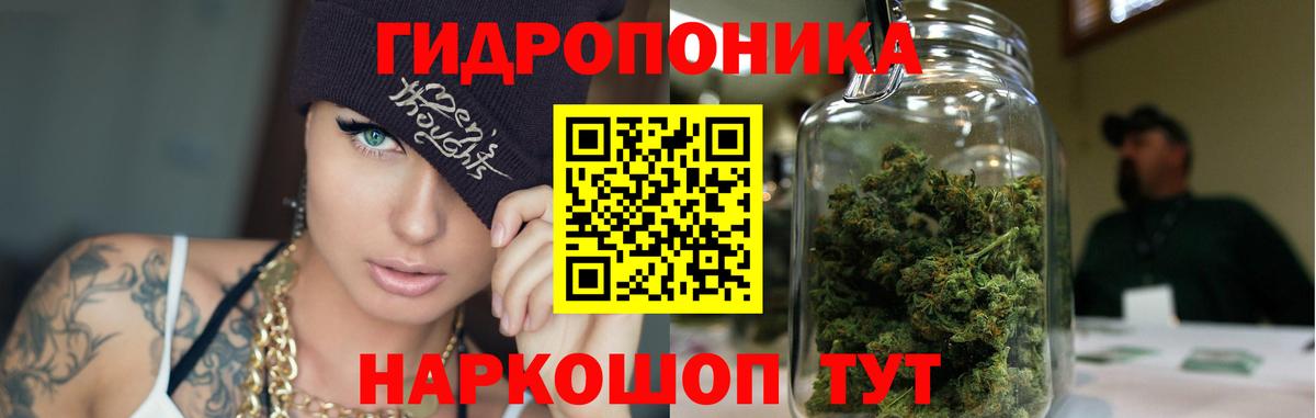 Бошки марихуана Bruce Banner Морозовск